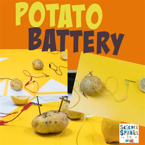 science fair potato battery